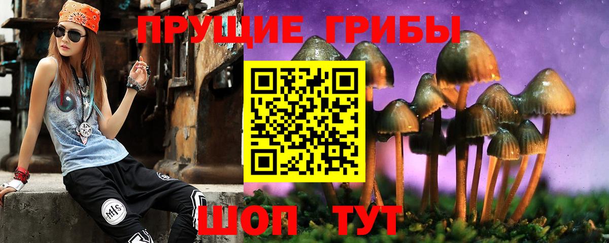 Псилоцибиновые грибы мухоморы  где купить наркотик  Красноуфимск  Вход с VPN 