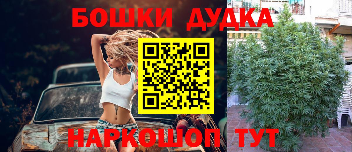 Бошки Шишки гибрид Красноуфимск